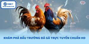 Tìm hiểu sơ lược về sảnh đá gà F8BET